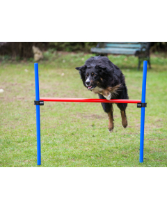 PY Petcenter Agility Hürde