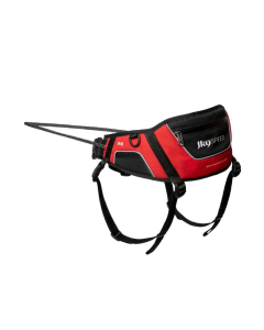 Julius-K9 "Speed Belt" Jogging-Gurt, schwarz-rot | Hundesport