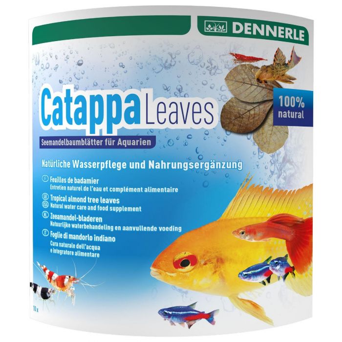 DE AquaRico Catappa Leaves – Seemandelbaumblätter