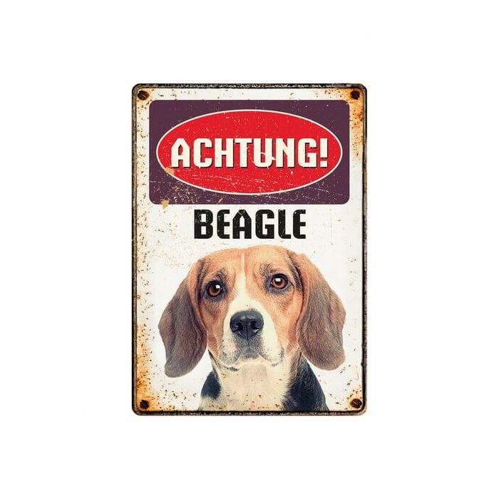 Warnschild "Achtung Beagle", 21x15cm