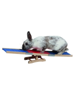 Kerbl Agility Wippe für Nager, 60x18x12cm