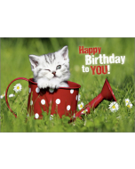 HR Umschlagkarte quer Geburtstag "to you" 12 x 17cm
