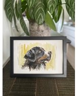 "Berner Sennenhund" Aquarell-Druck auf Papier, 20x30cm