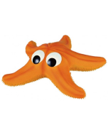 Seestern, Latex
