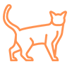 shape2