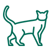 shape4
